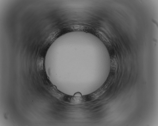 X0000091290717200708311317