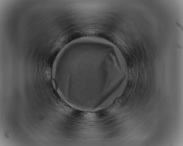 X0000091290718200708311317