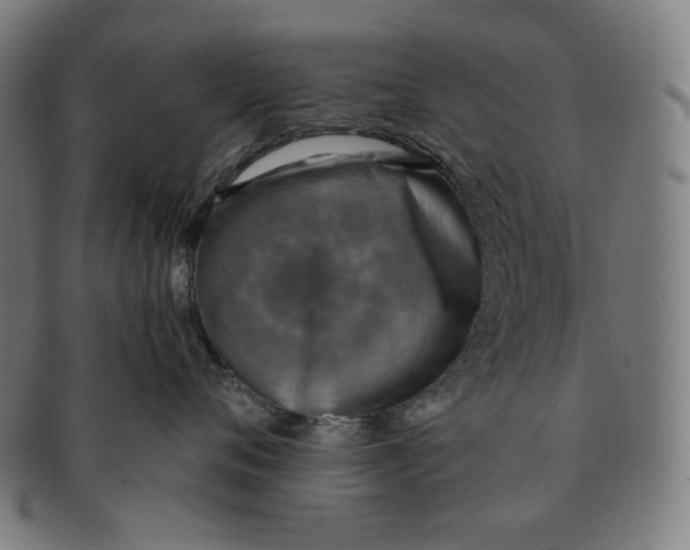 X0000091290720200708311317