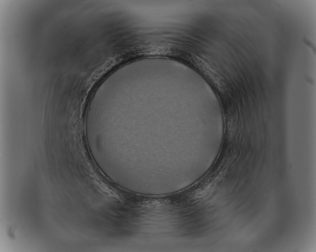 X0000091290721200708311316