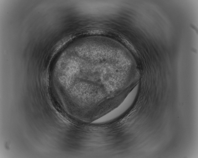 X0000091290722200708311316