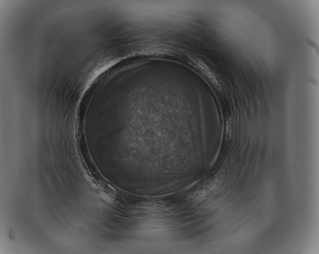 X0000091290724200708311316