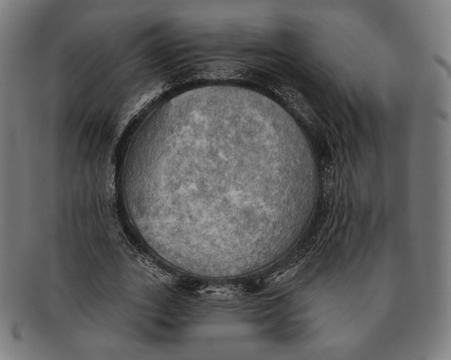 X0000091290727200708311316