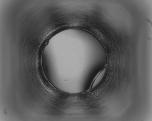 X0000091290728200708311316