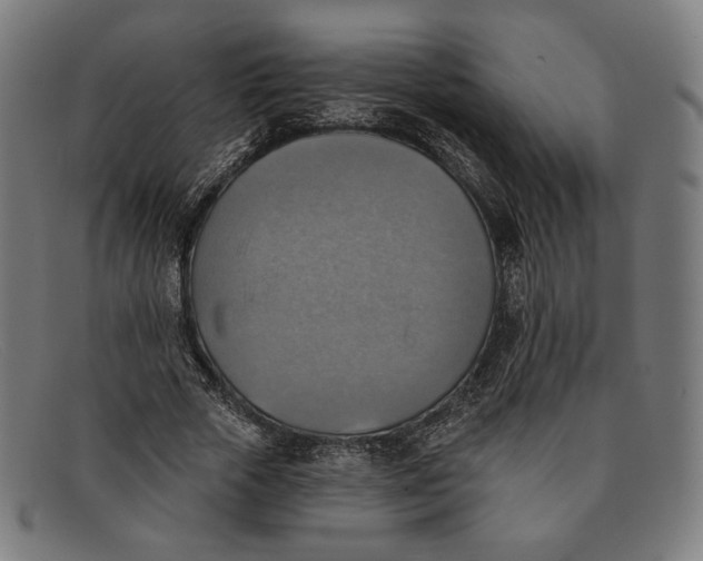 X0000091290729200708311316