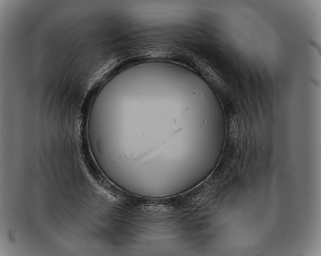 X0000091290730200708311316