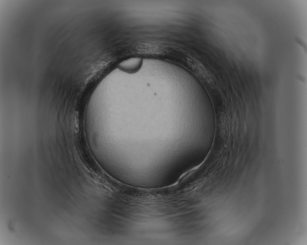 X0000091290731200708311316