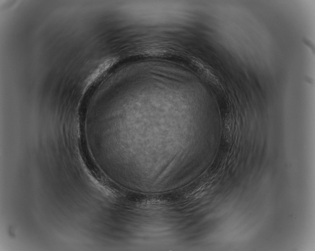 X0000091290734200708311316