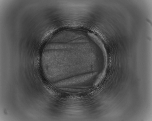 X0000091290736200708311316