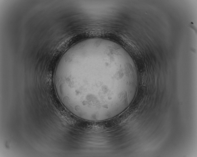 X0000091290737200708311316