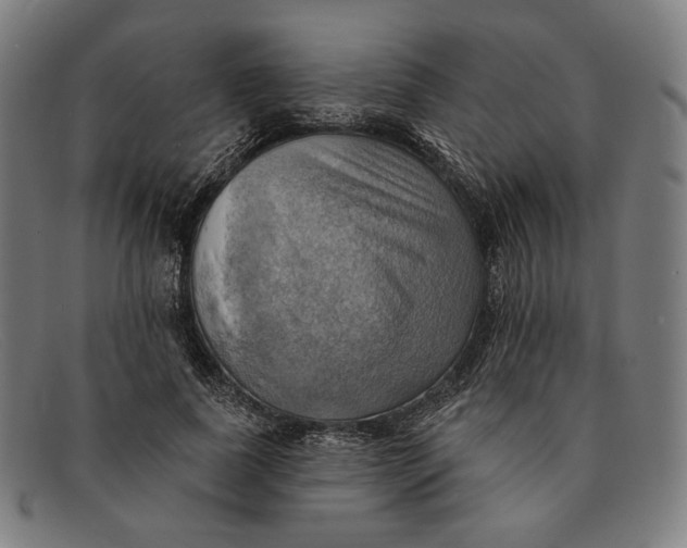 X0000091290739200708311316