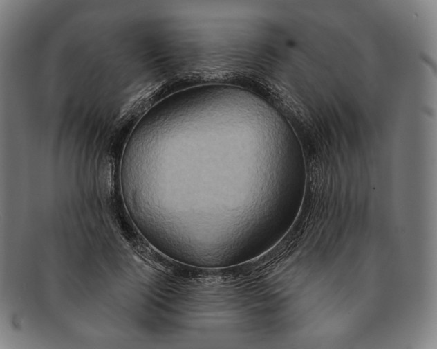 X0000091290740200708311316