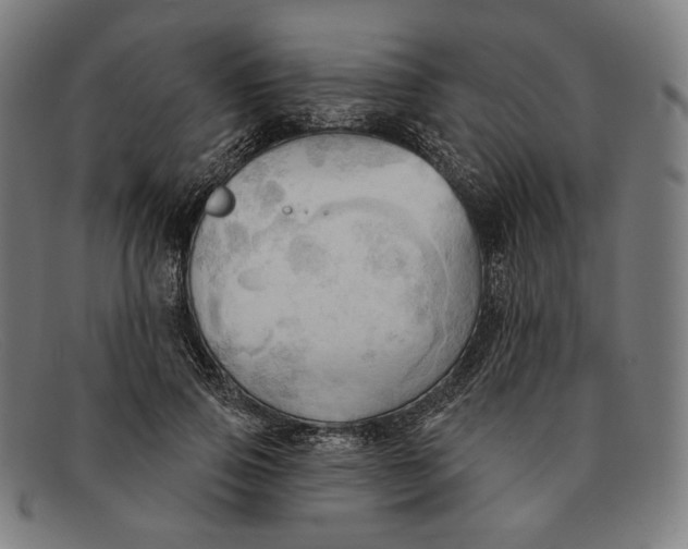 X0000091290741200708311316