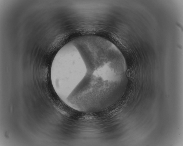 X0000091290742200708311316