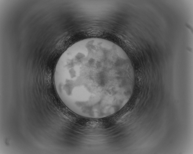 X0000091290745200708311317