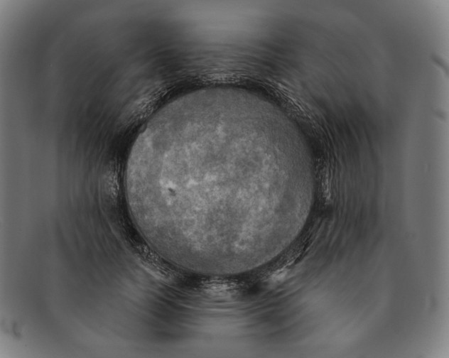 X0000091290746200708311317