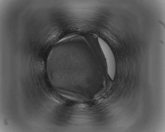 X0000091290748200708311317