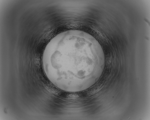 X0000091290749200708311317