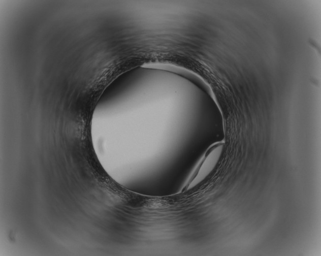 X0000091290750200708311317