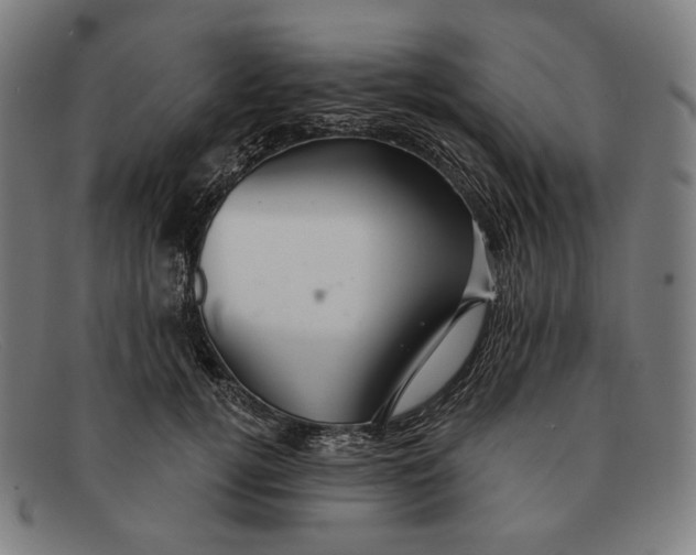 X0000091290752200708311317