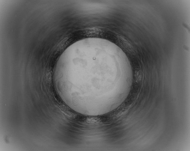 X0000091290753200708311317