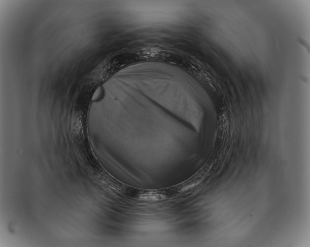 X0000091290754200708311317