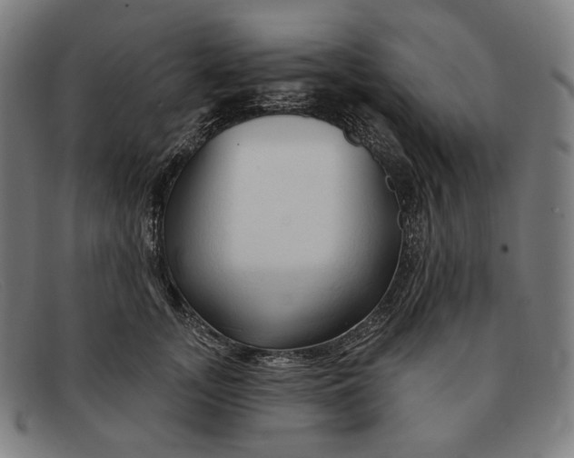 X0000091290755200708311317