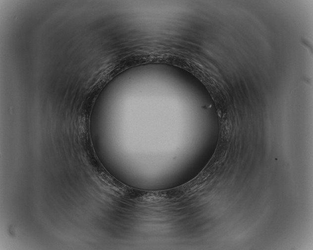 X0000091290756200708311317