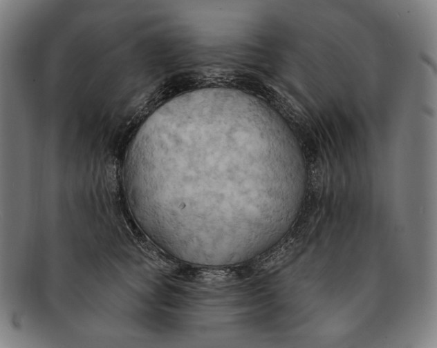 X0000091290757200708311317