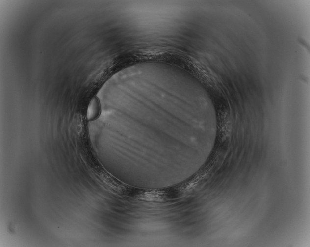 X0000091290758200708311317