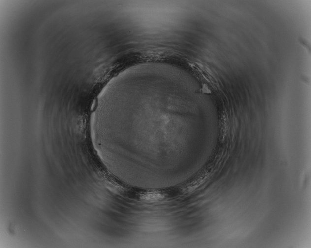 X0000091290759200708311317