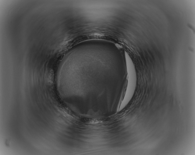 X0000091290760200708311317