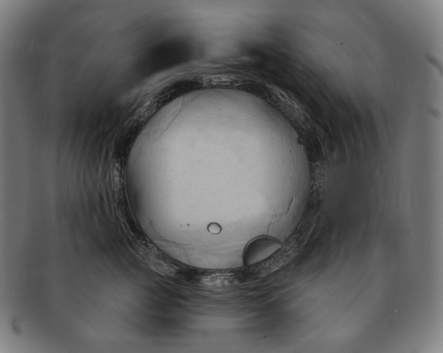 X0000091290761200708311317