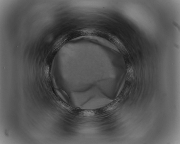 X0000091290765200708311317