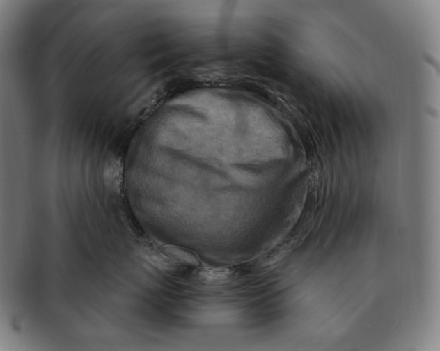 X0000091290767200708311317