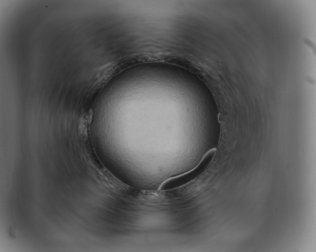 X0000091290768200708311317