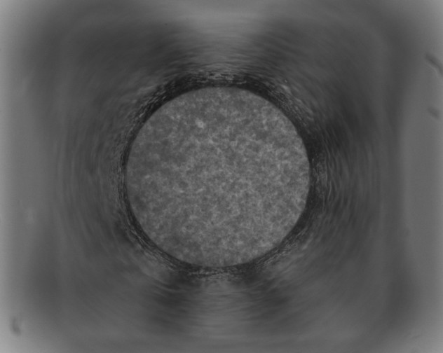 X0000091290769200708311316