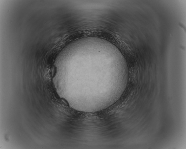 X0000091290770200708311316