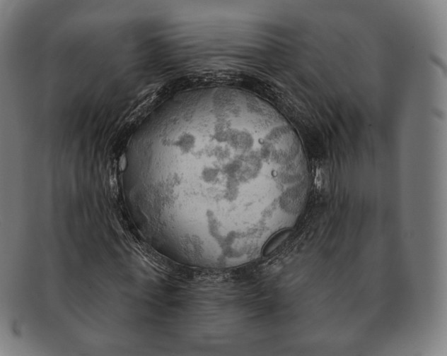 X0000091290771200708311316