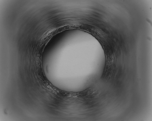 X0000091290773200708311316