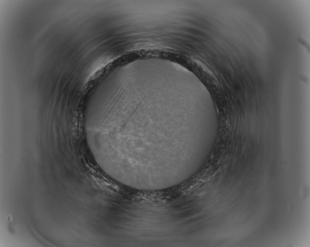 X0000091290775200708311316