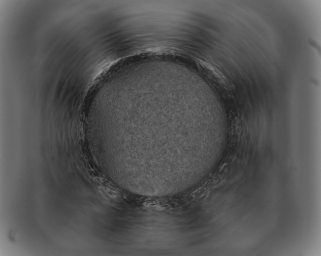 X0000091290776200708311316