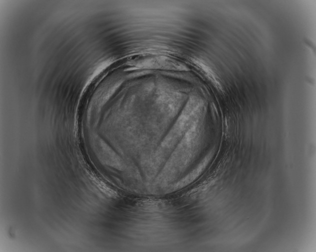 X0000091290780200708311316