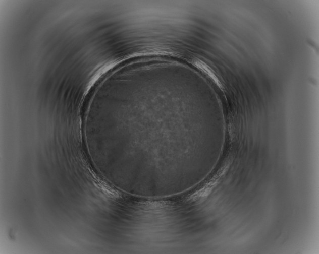 X0000091290781200708311316