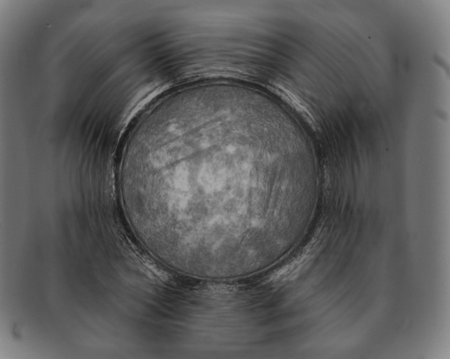 X0000091290782200708311316