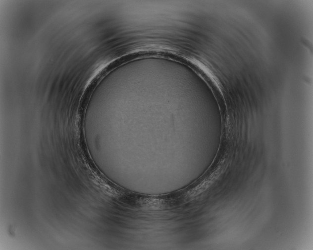 X0000091290783200708311316