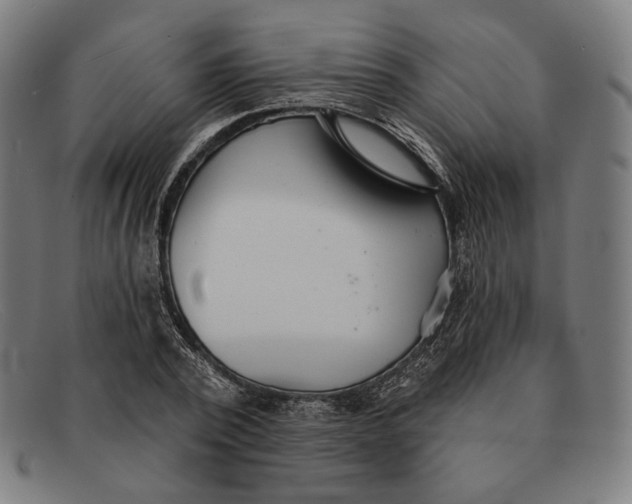 X0000091290784200708311316