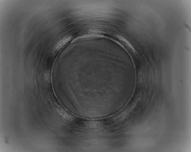 X0000091290785200708311316