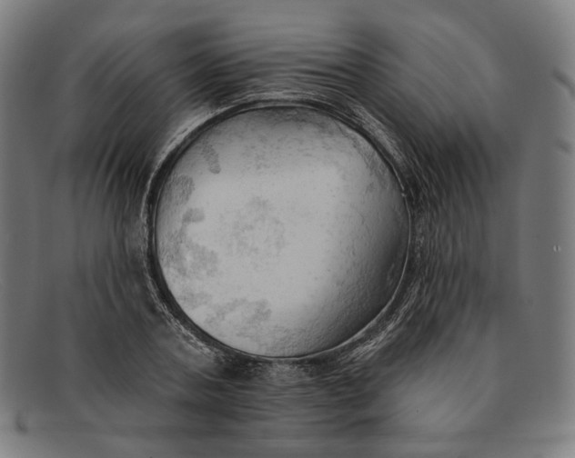 X0000091290787200708311316