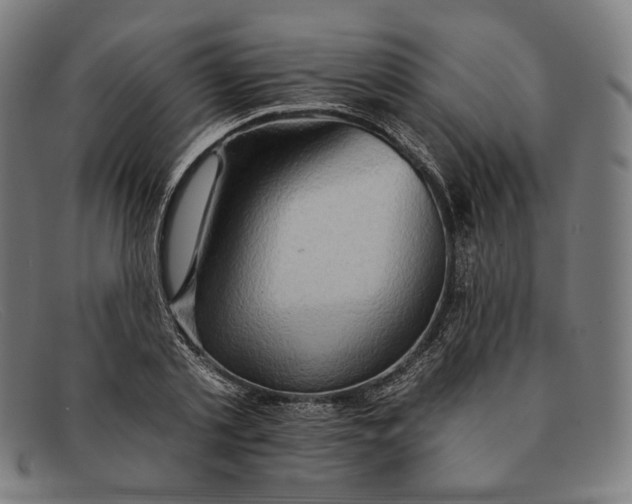 X0000091290789200708311316